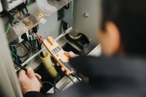 Best Electric Panel Repair  in Ciborne, LA